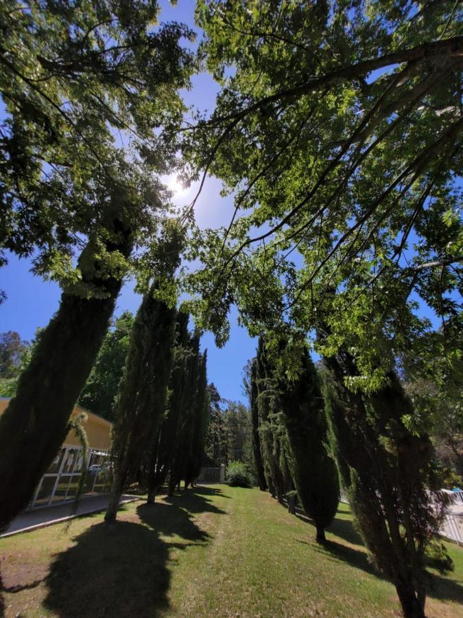 Village Park 坦迪尔 外观 照片