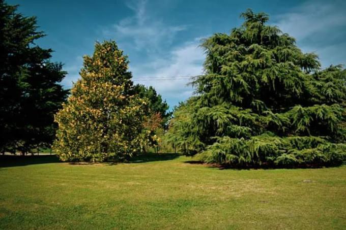 Village Park 坦迪尔 外观 照片