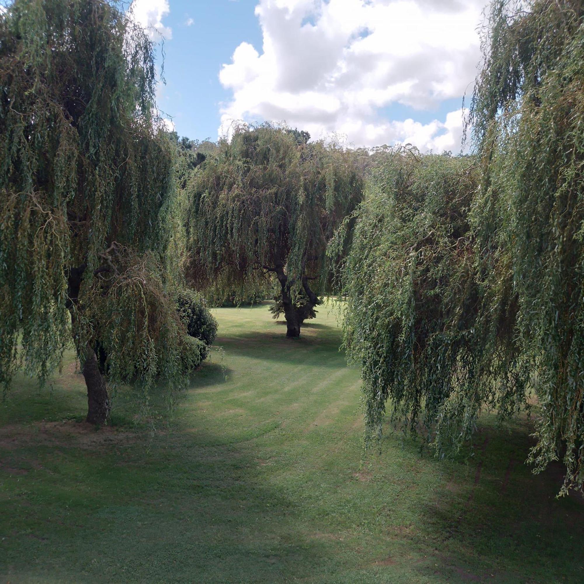 Village Park 坦迪尔 外观 照片